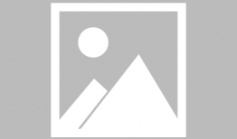 吃瓜少女张小寒爆料向左,吃瓜少女视角下的向左风云录